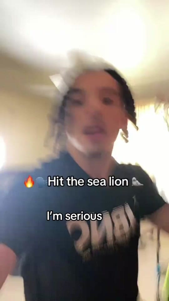 Post 4 by bigtyme_0 on TikTok (video)
