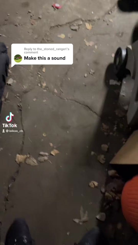 Post 10 by Laikaa on TikTok (video)