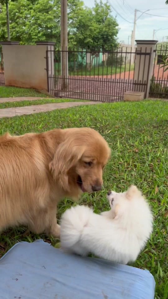 Post 8 by vitoriacarolinabender on TikTok (video)