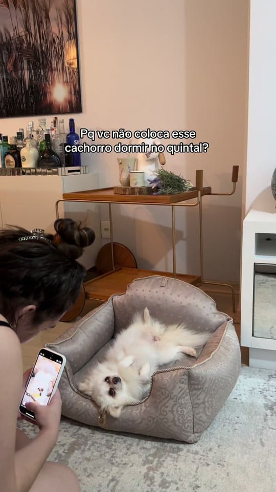 Post 5 by vitoriacarolinabender on TikTok (video)