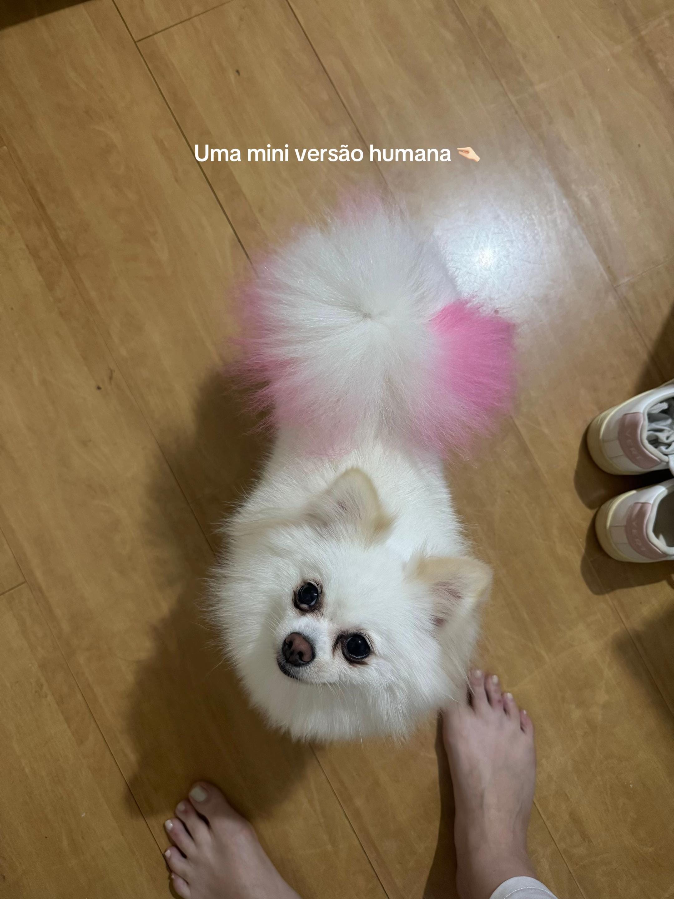 Post 4 by vitoriacarolinabender on TikTok (video)