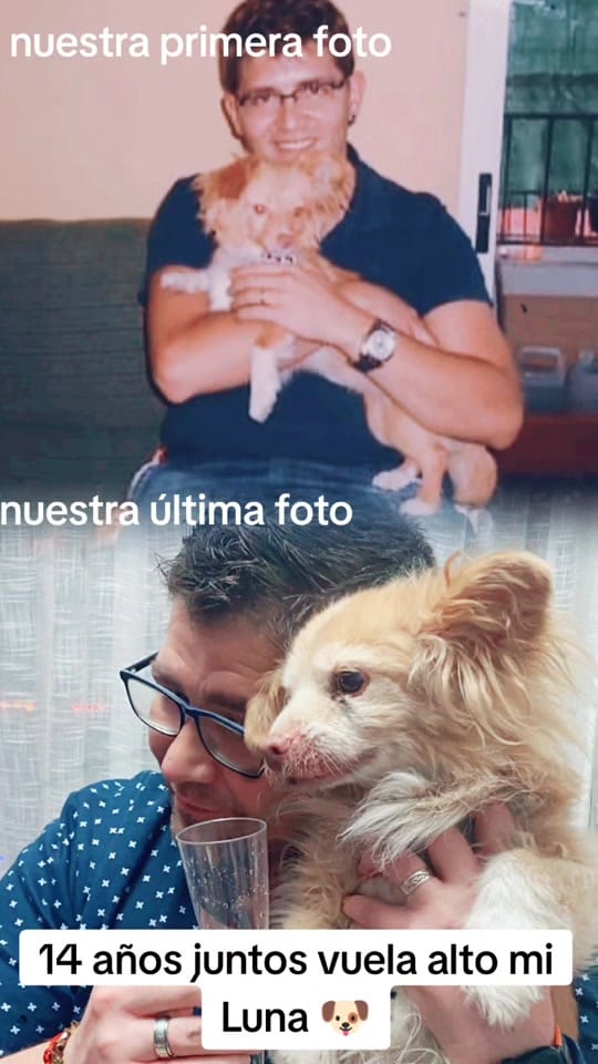 Post 8 by 😎👑👑José 👑👑😎 on TikTok (video)