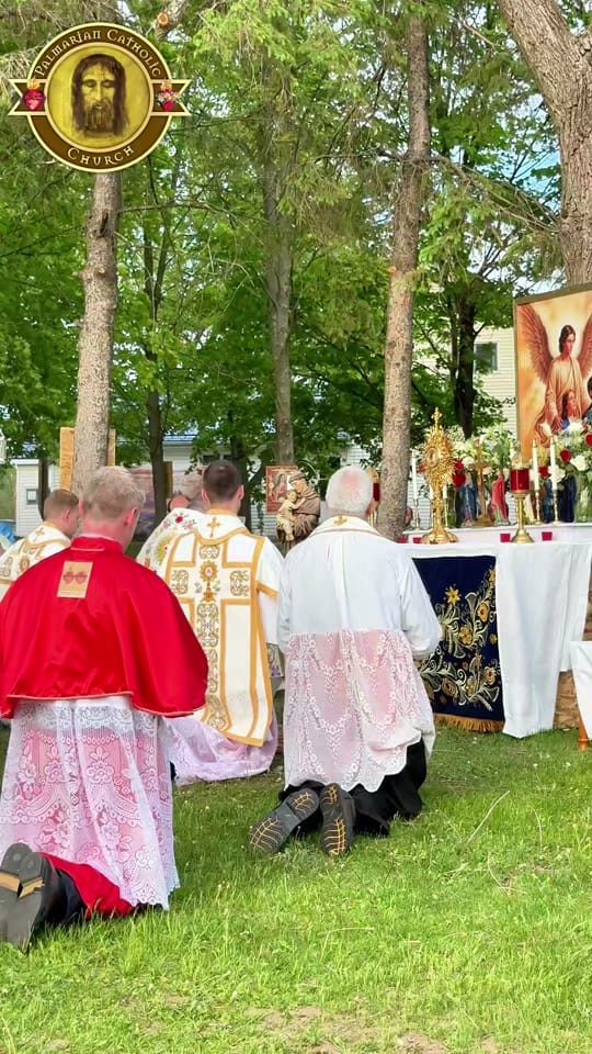 Post 9 by Palmarian Church on TikTok (video)