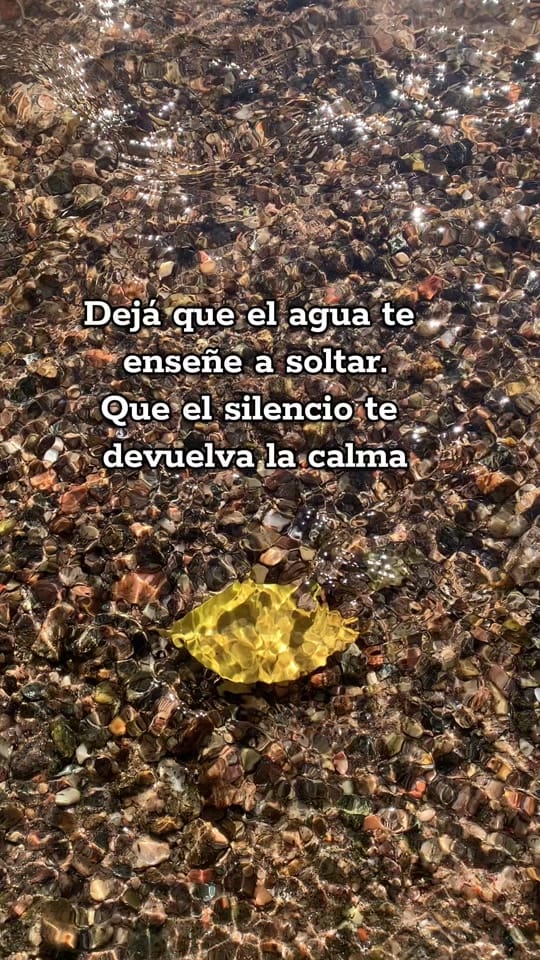 Post 3 by Cabañas Tu Estación on TikTok (video)