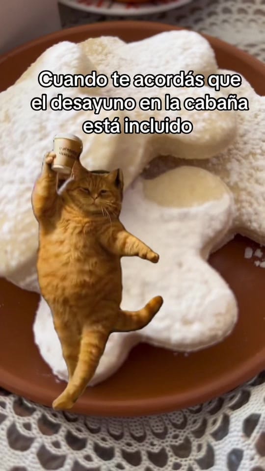 Post 9 by Cabañas Tu Estación on TikTok (video)
