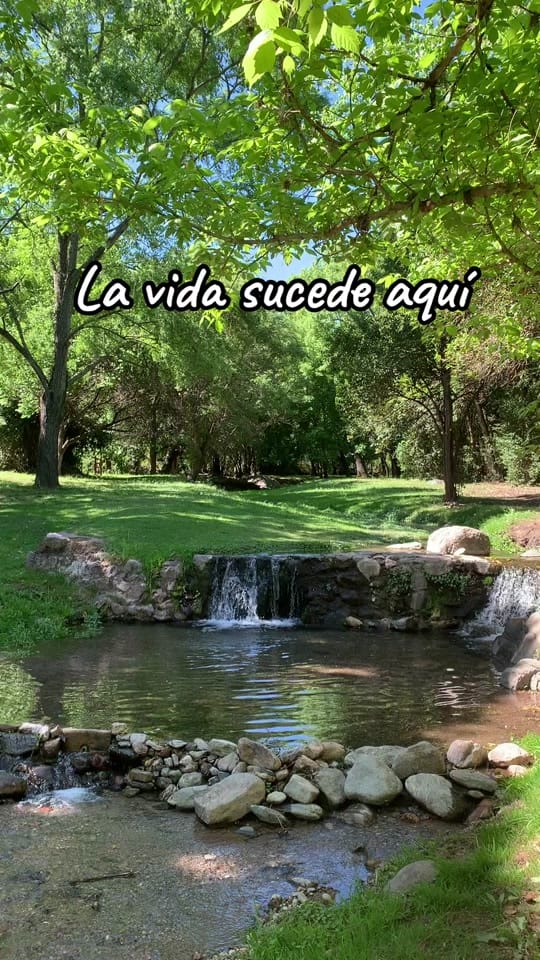 Post 2 by Cabañas Tu Estación on TikTok (video)