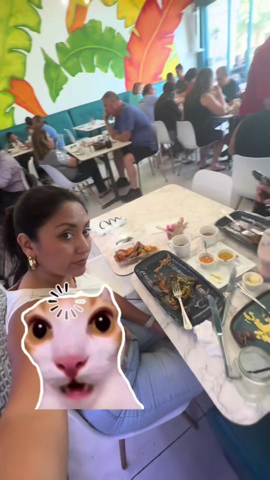 Post 1 by nicolepillman on TikTok (video)