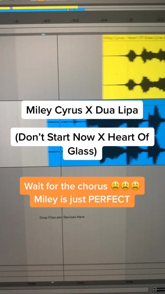 Post 8 by Collin Friedli on TikTok (video)