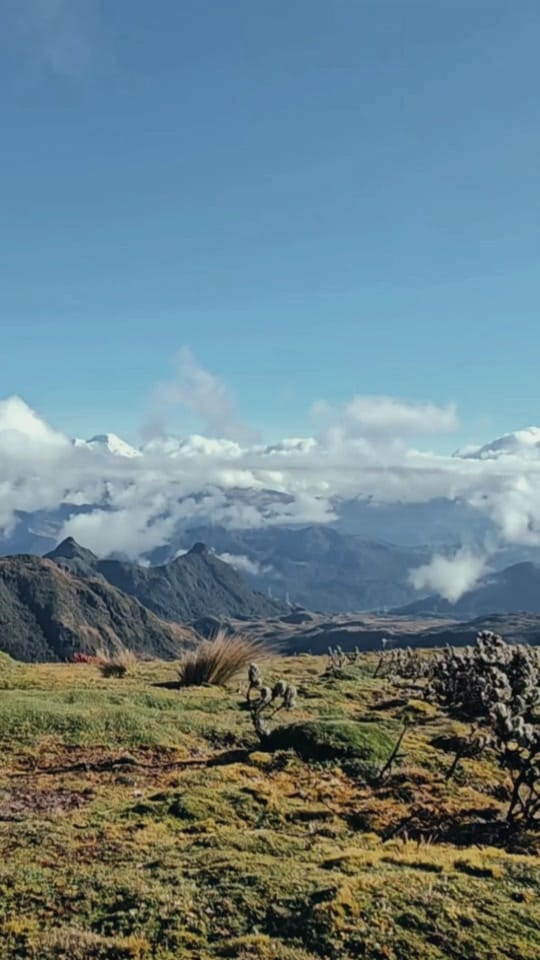Post 2 by Jordi Ibern on TikTok (video)
