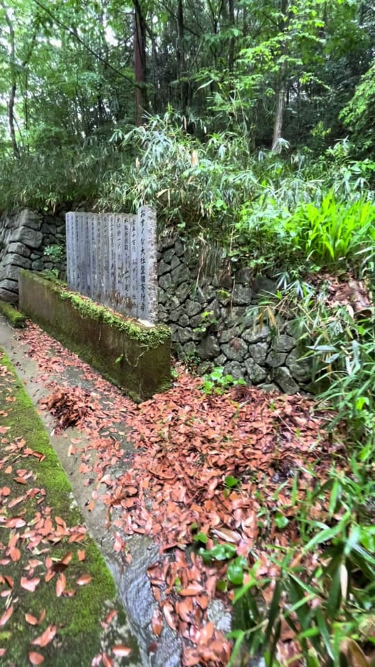Post 9 by Jordi Ibern on TikTok (video)