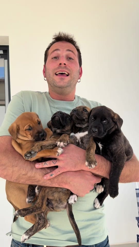 Post 6 by VETERINARIA TRIUNFO JARDIN on TikTok (video)