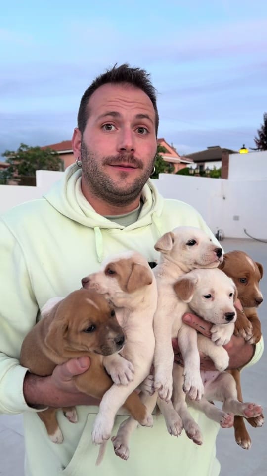 Post 5 by VETERINARIA TRIUNFO JARDIN on TikTok (video)