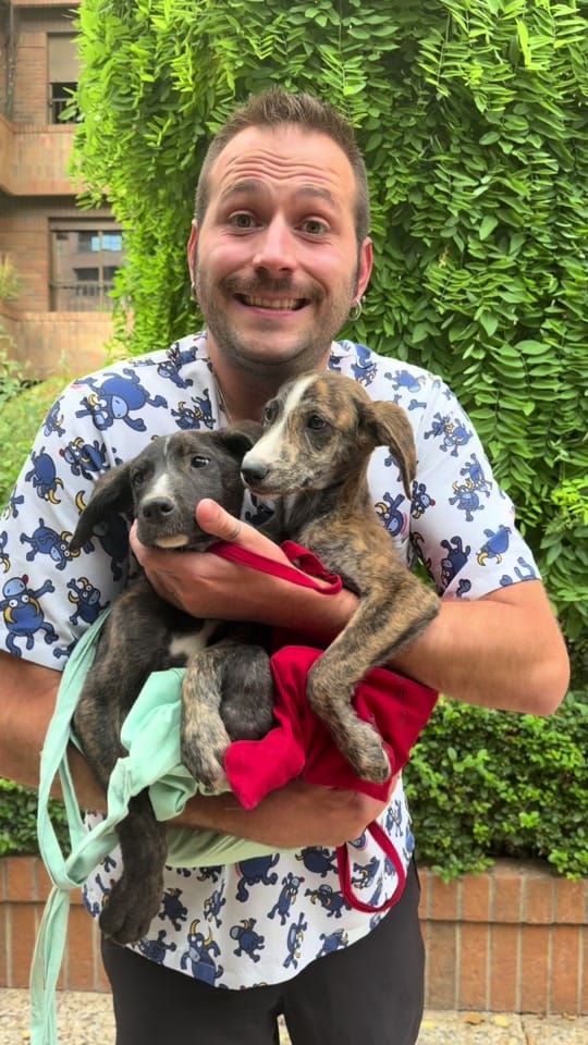 Post 1 by VETERINARIA TRIUNFO JARDIN on TikTok (video)
