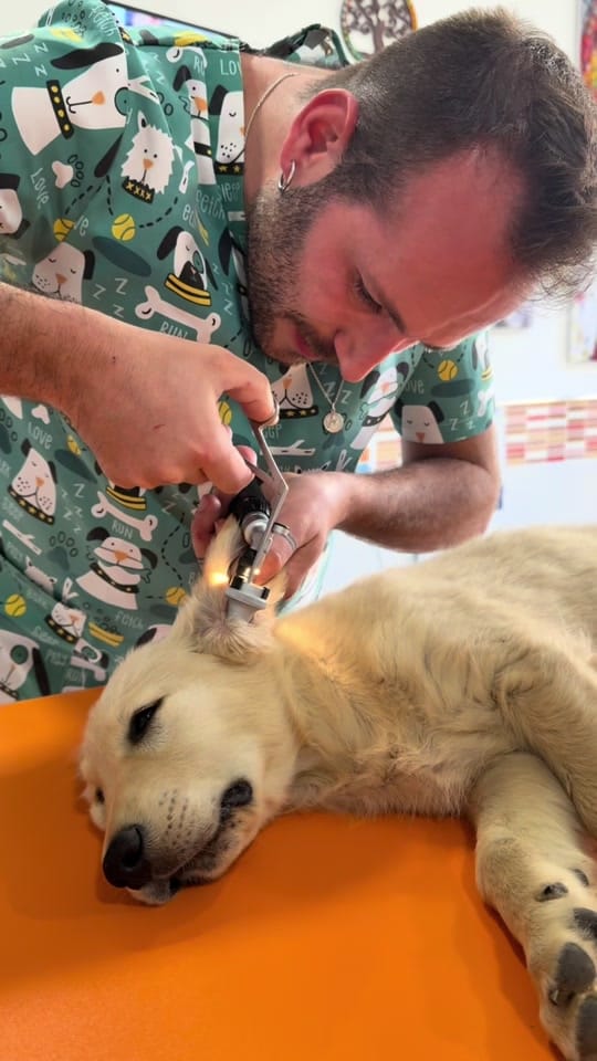 Post 4 by VETERINARIA TRIUNFO JARDIN on TikTok (video)