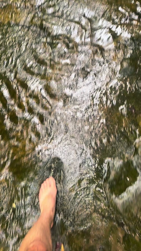 Post 2 by Derek Skelton on TikTok (video)