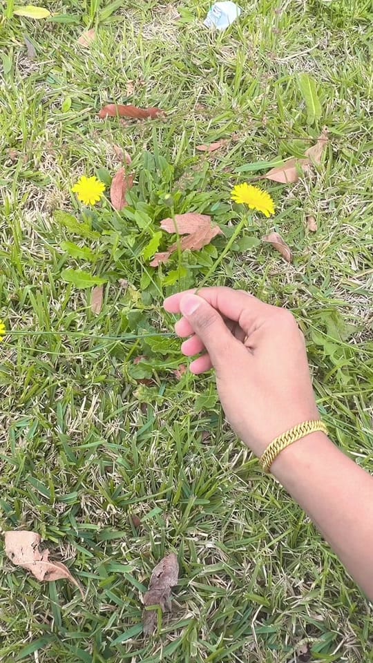 Post 10 by Sima shah on TikTok (video)
