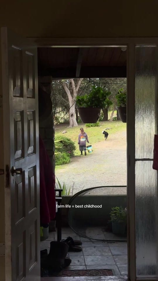 Post 7 by Loren Wagener on TikTok (video)