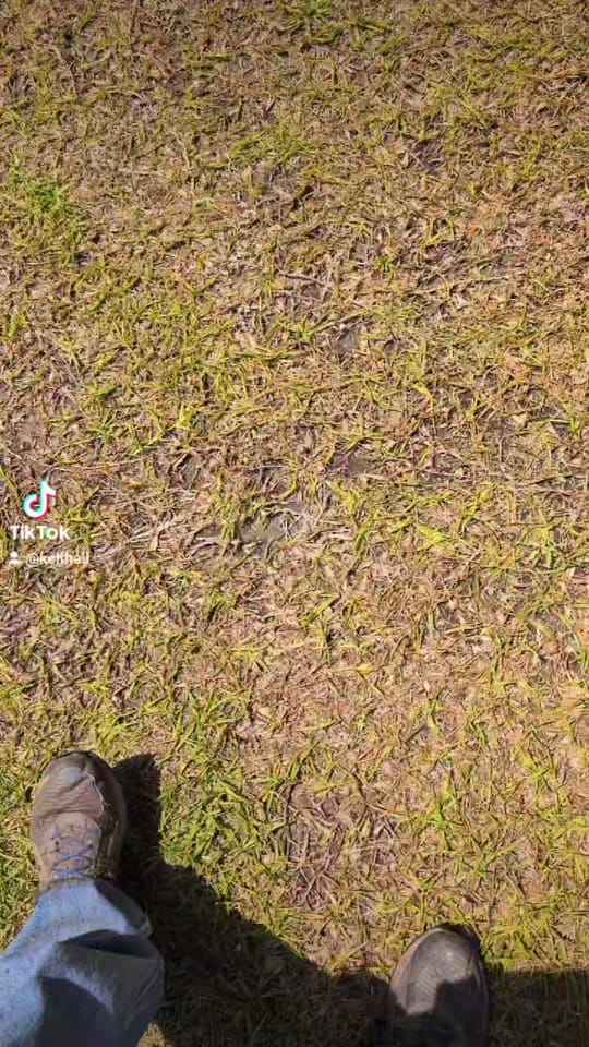 Post 8 by KeithAll on TikTok (video)