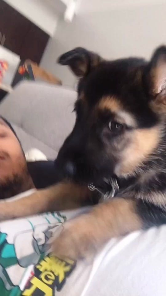 Post 5 by Derek Hancock on TikTok (video)