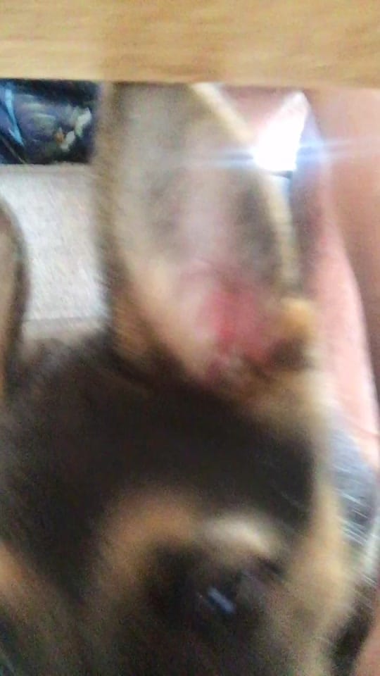 Post 2 by Derek Hancock on TikTok (video)