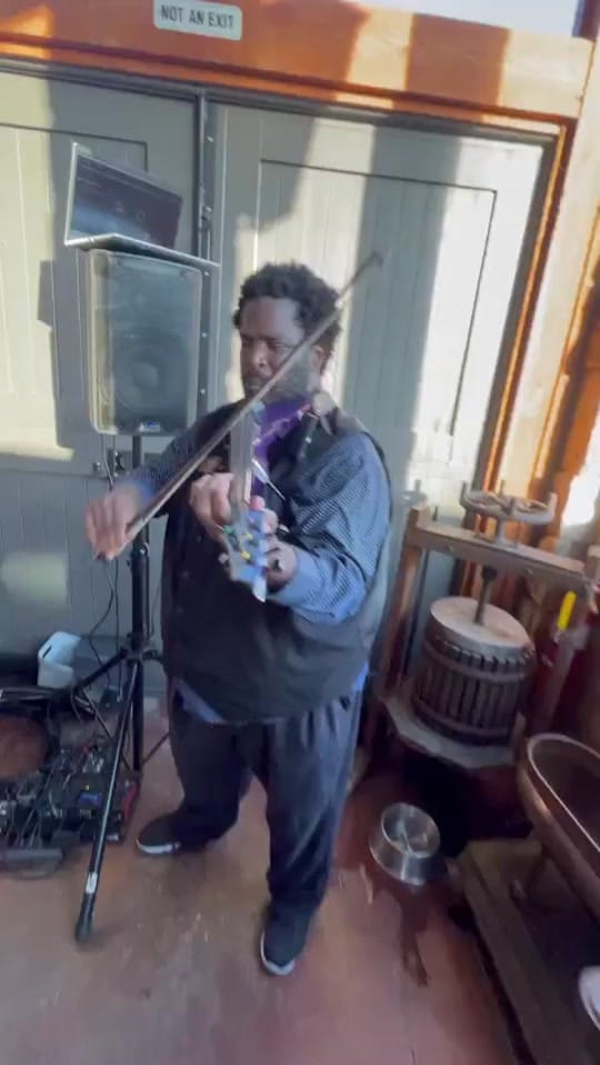 Post 10 by Mondayviolins on TikTok (video)