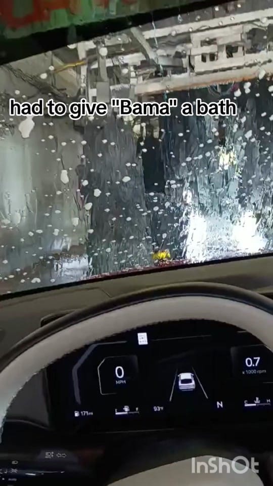 Post 4 by LTate334 on TikTok (video)