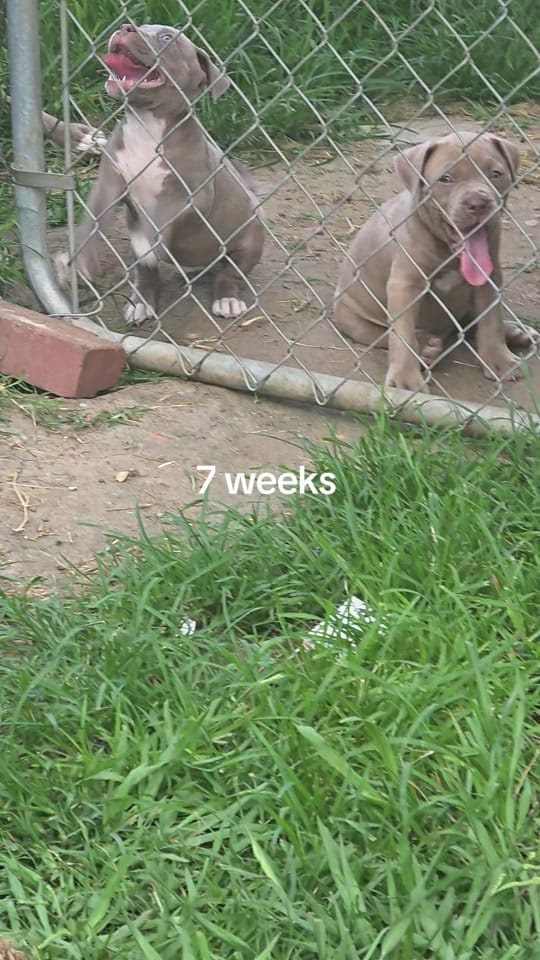 Post 5 by LTate334 on TikTok (video)