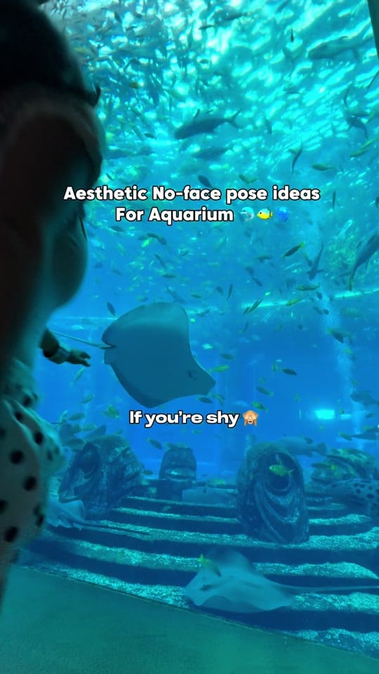 Post 2 by Kristina Li🪐 on TikTok (video)
