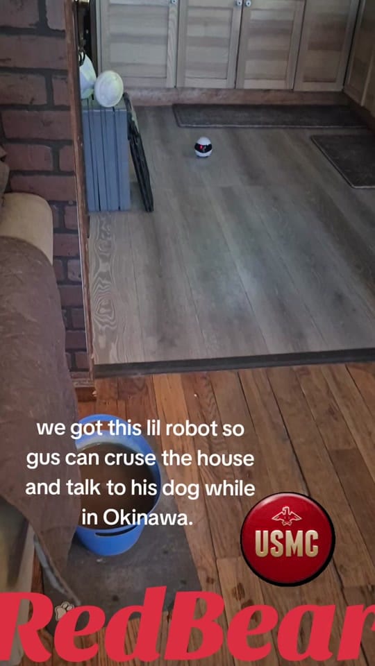 Post 6 by RedBear on TikTok (video)
