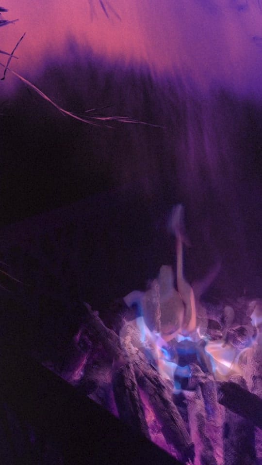 Post 8 by Sam Williams on TikTok (video)