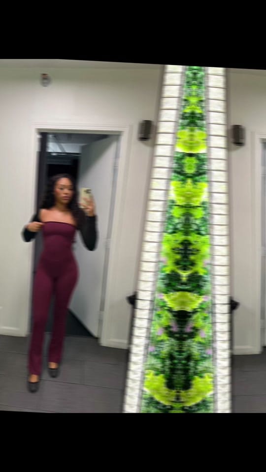Post 5 by Kendall Shiree on TikTok (video)