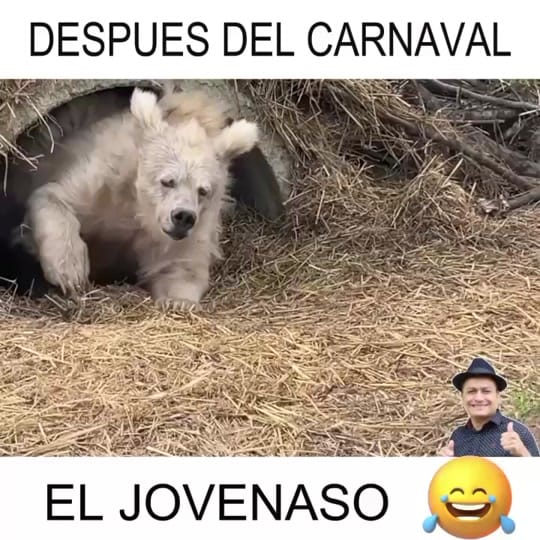 Post 3 by @eljovenaso on TikTok (video)