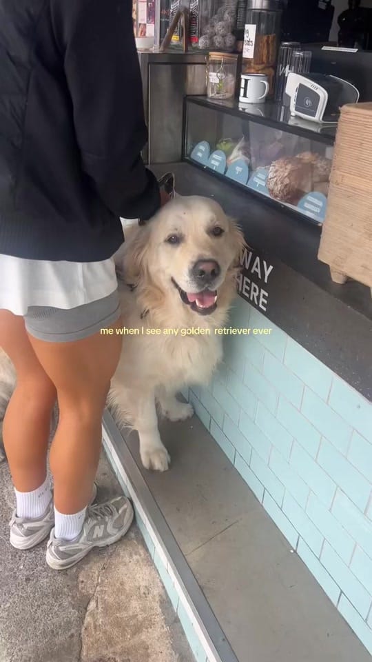 Post 2 by Holly Shaw on TikTok (video)