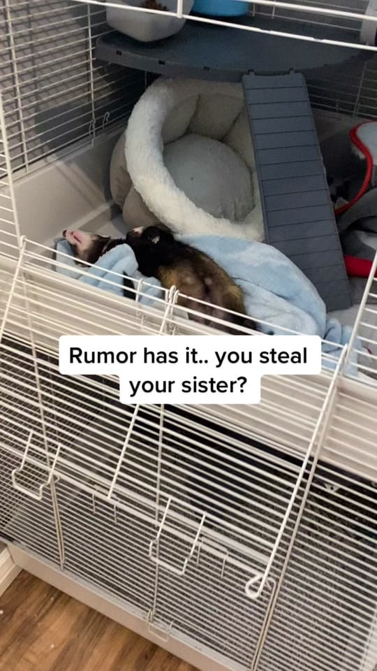 Post 9 by Celeste Park on TikTok (video)