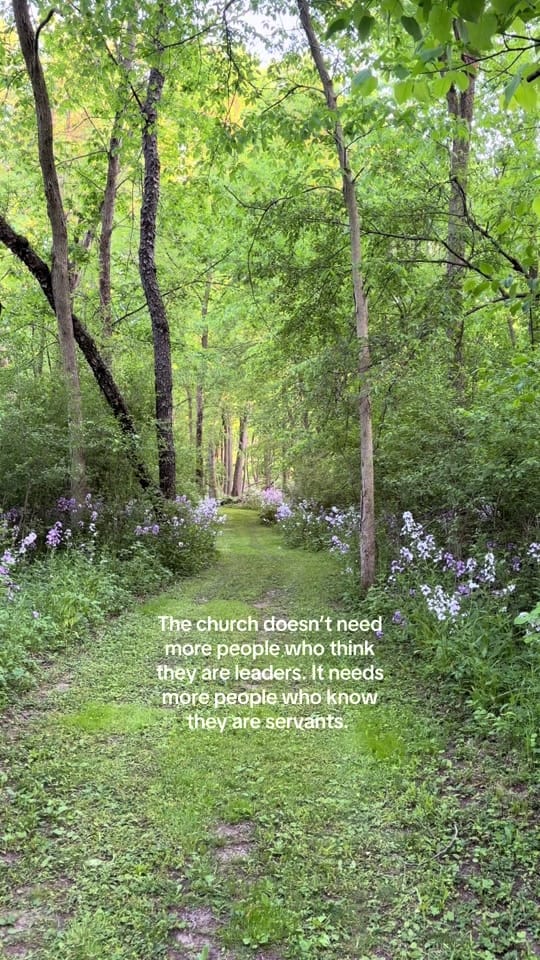 Post 3 by Sydney Anne on TikTok (video)