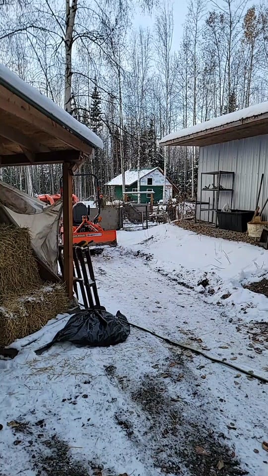 Post 5 by Dale Logie on TikTok (video)