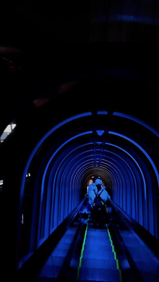 Post 7 by jess ⋆. 𐙚 ˚🪷🪽 on TikTok (video)