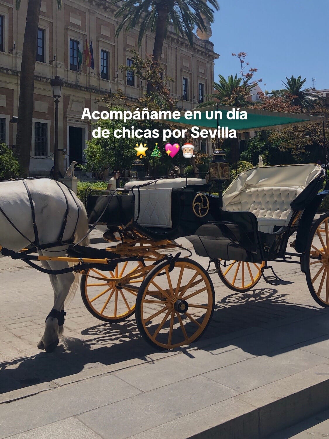 Post 8 by MERYEM ★ on TikTok (video)