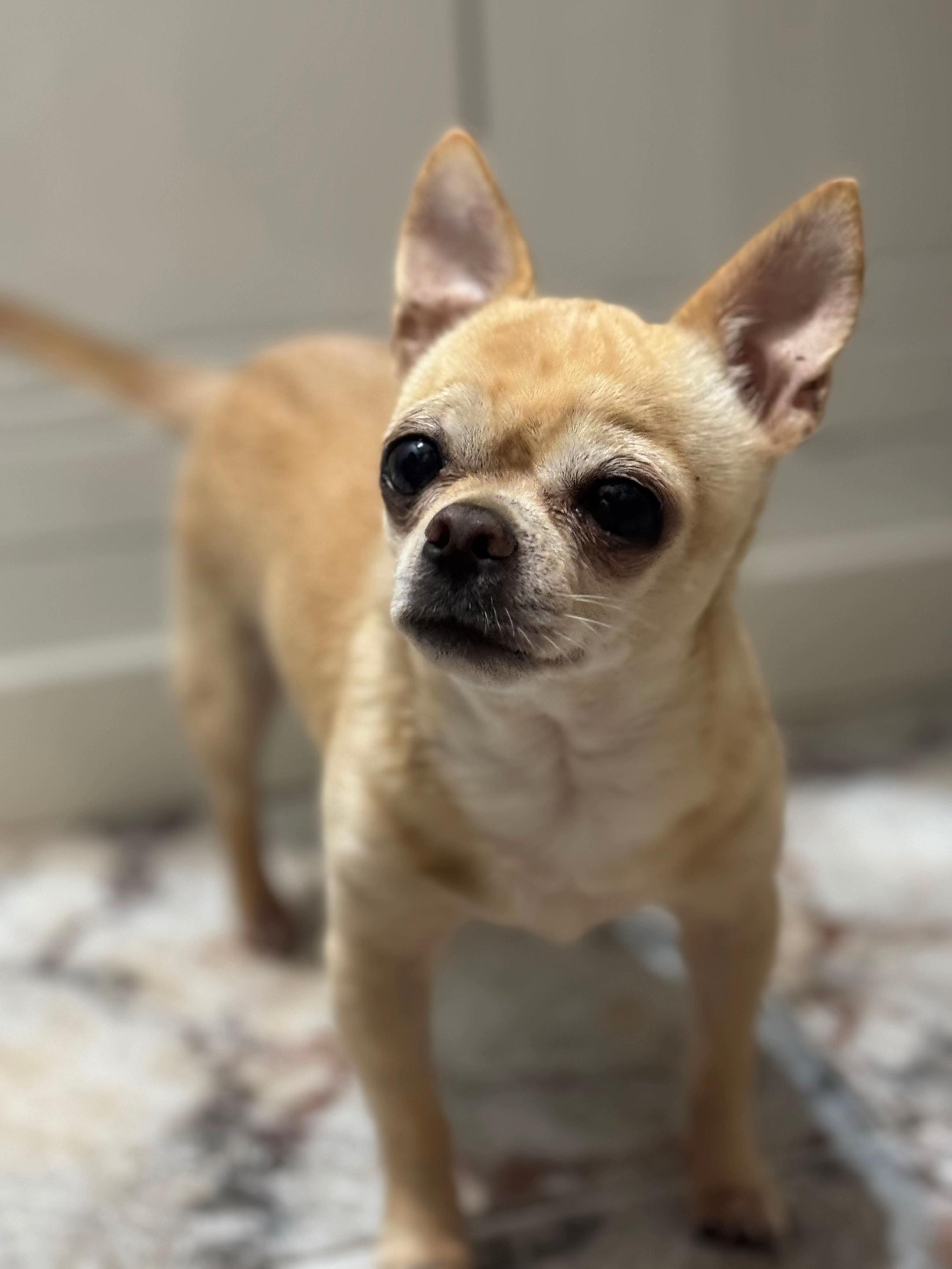 Post 2 by Gallardo Vargas🇦🇿 on TikTok (video)