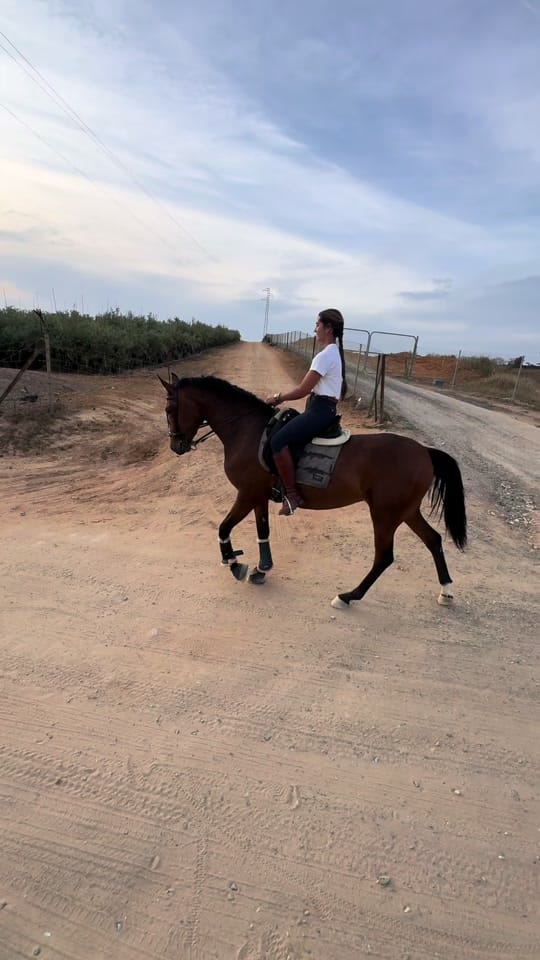 Post 8 by Maria Fernandez on TikTok (video)