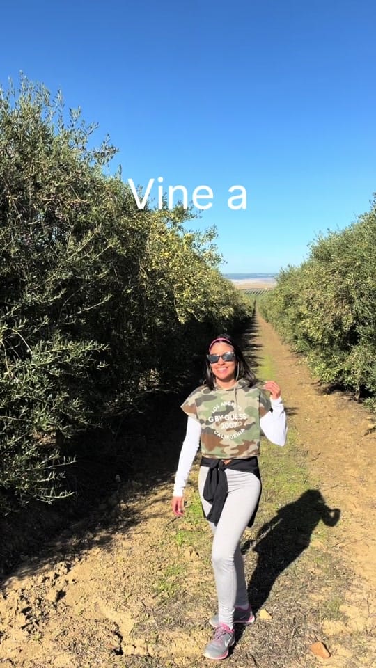 Post 6 by Mafe | Creative & Social Media on TikTok (video)