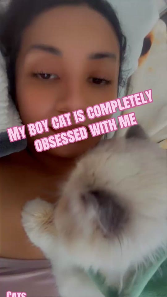Post 8 by Araceli | Central TX Realty on TikTok (video)
