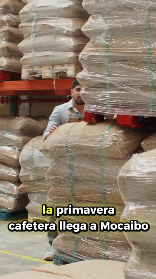 Post 6 by Cafés Mocaibo on TikTok (video)