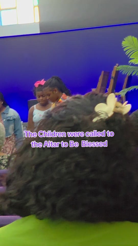 Post 4 by Nikki Wade-McFarland on TikTok (video)
