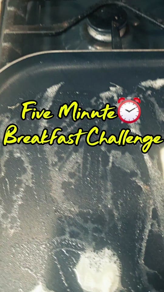 Post 6 by Nikki Wade-McFarland on TikTok (video)