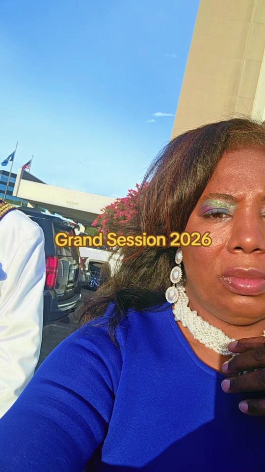 Post 3 by Nikki Wade-McFarland on TikTok (video)