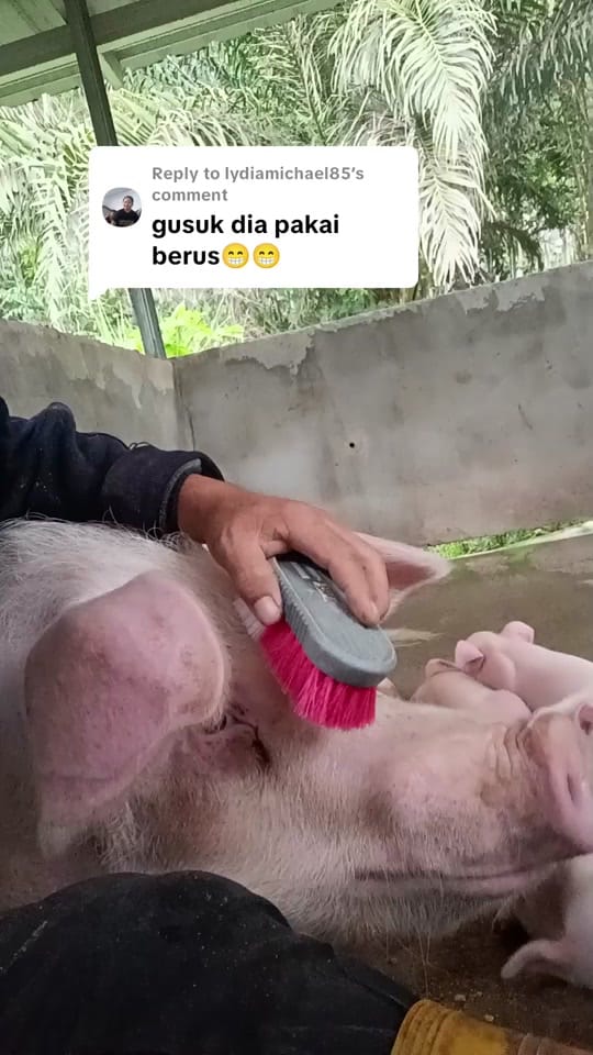 Post 6 by Cyrell Popol on TikTok (video)