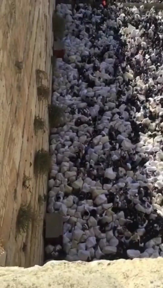 Post 3 by Rabino Yonatán Galed on TikTok (video)