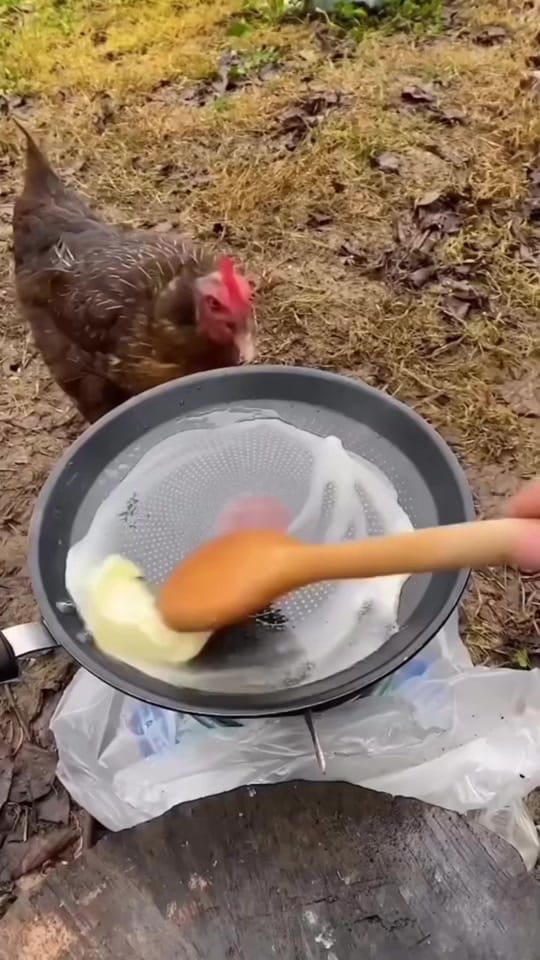 Post 9 by hustlegroup_nz on TikTok (video)