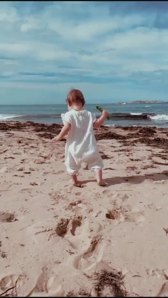 Post 7 by Wolfie. on TikTok (video)